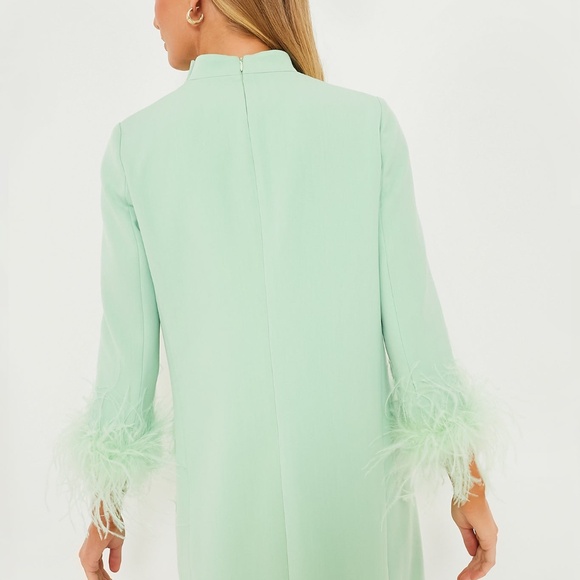 Mint Feather Mod Ellie Dress (TUCKERNUCK) - Picture 7 of 10